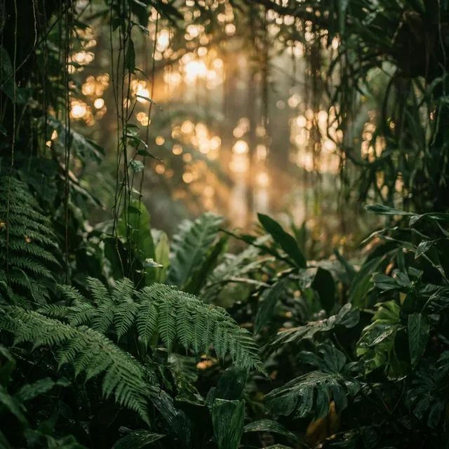 Lush Greenery Background
