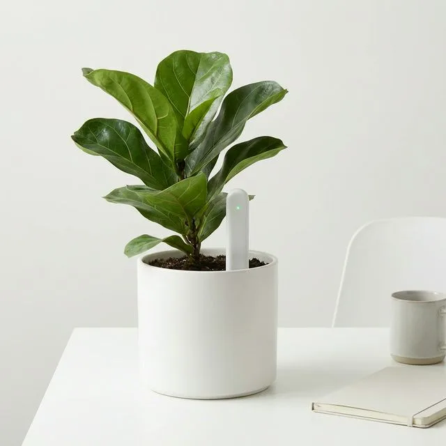 Smart Plant Sensors