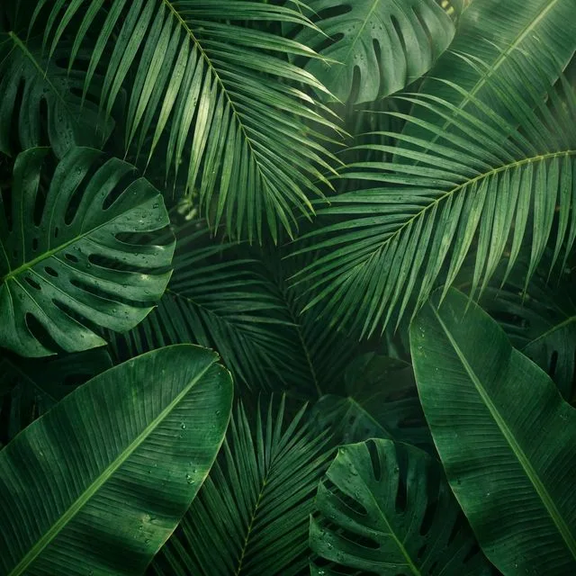 Tropical Leaves Pattern